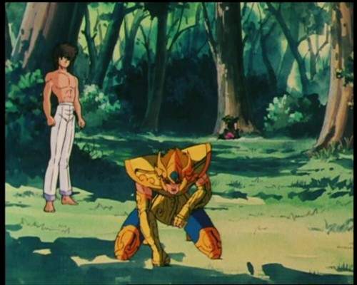 Otaku Gallery  / Anime e Manga / Saint Seiya / Screen Shots / Episodi / 051 - Sorpresa alla quinta casa / 008.jpg